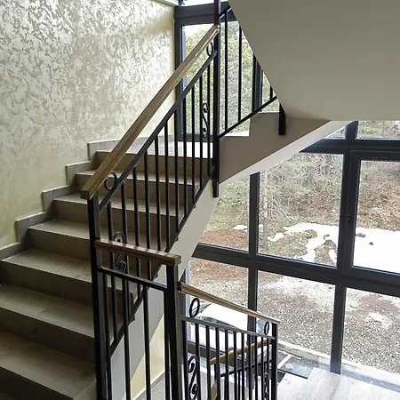 Apartment Dina Divcibare