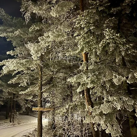 Dina Apartment Divcibare