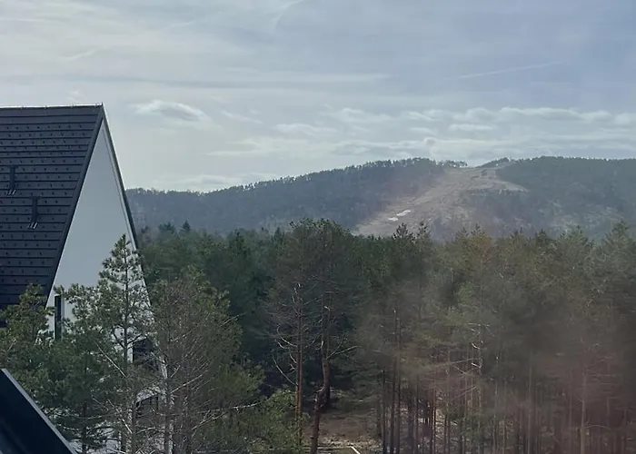 Apartment Dina Divcibare