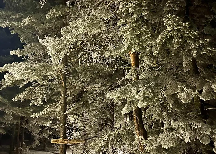 Dina Apartment Divcibare